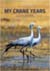 My Crane Years cover